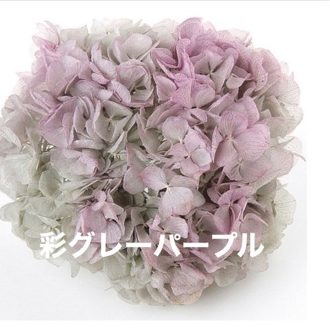 東北花材新製品❣️グレーパープルアジサイ小分け❣️ハンドメイド花材プリザーブドフラワー