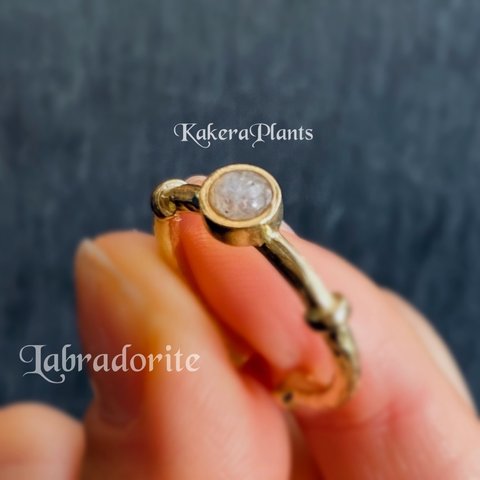 〖再販〗アウクセシアーの瞳 Gemstone Ring "Labradorite"