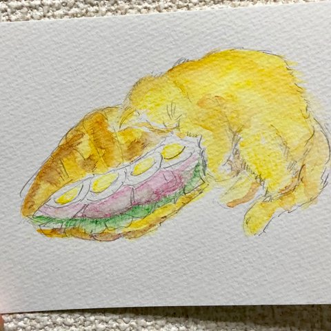 パンとねこ