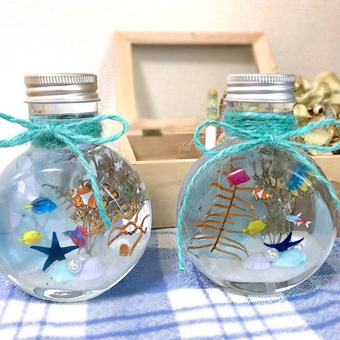 熱帯魚 ハーバリウム