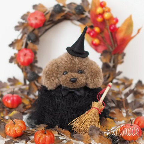 ◎ハロウィン限定◎ 毛糸ぽんぽん トイプードルのハロウィンドール(♀)