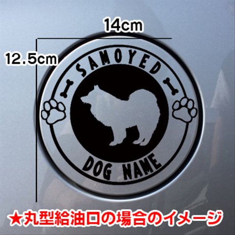 サモエド SAMOYED 犬 給油口 ステッカー リアガラス 車