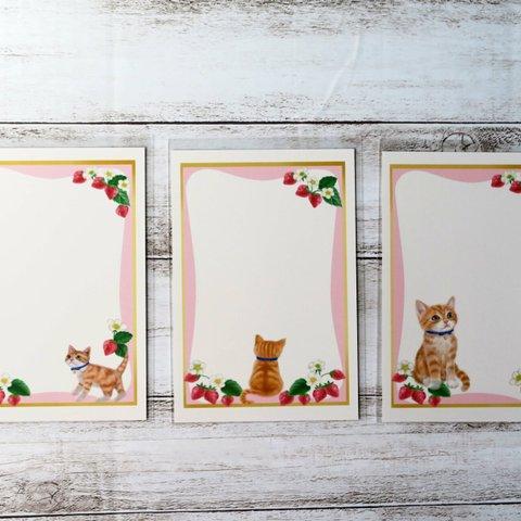 ポストカード３枚セット〈～Sweet～茶白の子猫とイチゴ〉  絵ハガキ　プレゼント　可愛い　メッセージカード