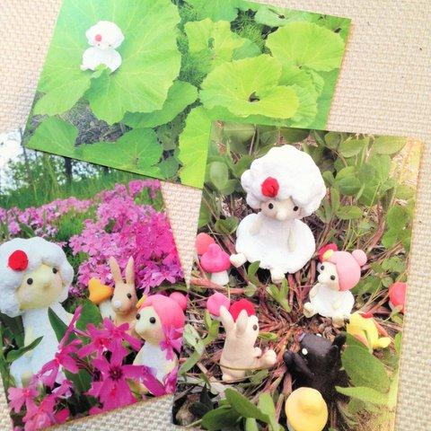 森の妖精ポストカード　３枚セット
