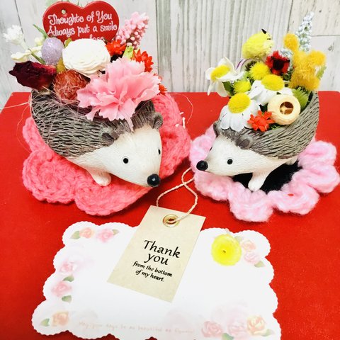 ラスト母の日限定💐親子ハリネズミちゃん🦔💕