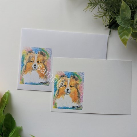 封筒とメッセージカードセット　シェルティー　犬イラスト　犬グッズ　レターセット　