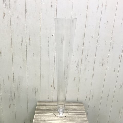 幸運竹　ミリオンバンブー  スパイラルバンブー用 花瓶 ガラス グラス型♡   ミリオンバンブー　 60cm