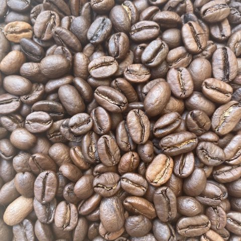 送料無料で届く新鮮な自家焙煎コーヒー豆｜エチオピア ゲイシャG-3 ナチュラル ゲレナ農園 300g（150g×2袋）｜中深煎り