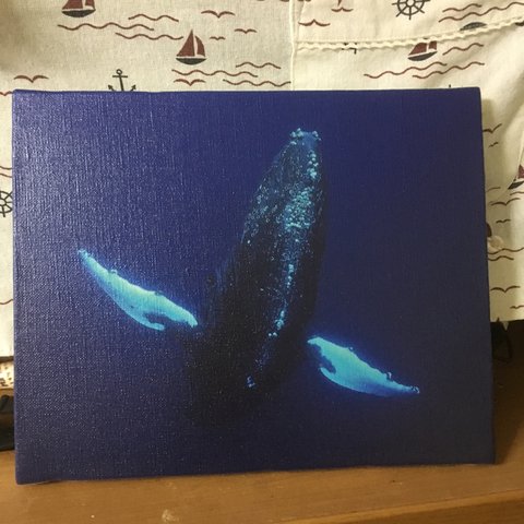 クジラのキャンバス