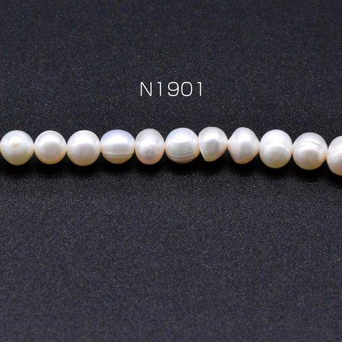 N1901  1連  淡水パールビーズ 不規則オーバル 天然素材 5-7mm     1連(約62ヶ)