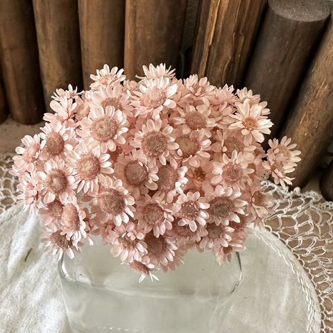 スターフラワーブロッサムアレンジ加工❣️ピンクココアージュ小分け❣️ハンドメイド花材カラードライフラワー