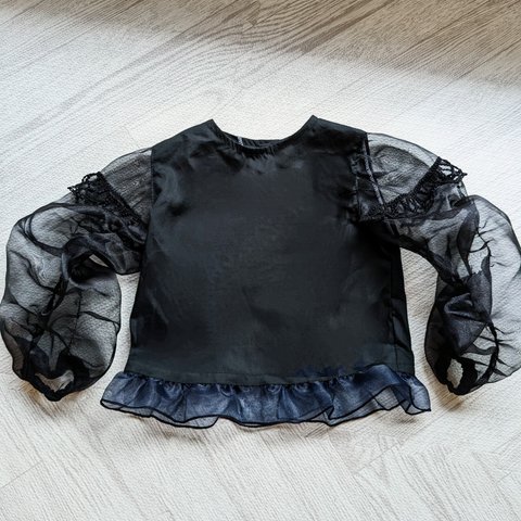 シースルースリーブ黒ブラウス
chic blouse