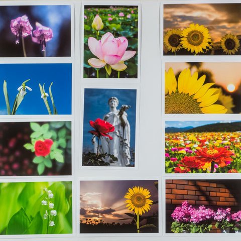 Lサイズの写真・花と風景色々20枚セット(L011-2)