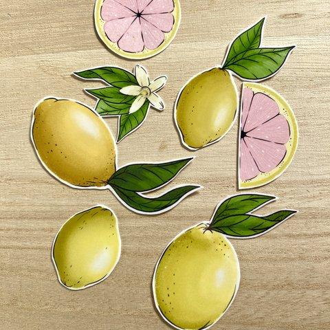 Pink Lemon Sticker Set ピンクレモンのシールセット