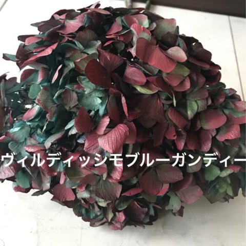 ヴィルディッシモブルーガンディー入荷❣️ハーバリウム花材プリザーブドフラワー紫陽花アジサイ
