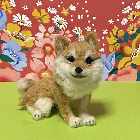 羊毛フェルト　柴犬