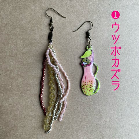 受注生産★ウツボカズラからひょっこりカエルピアス🐸✨