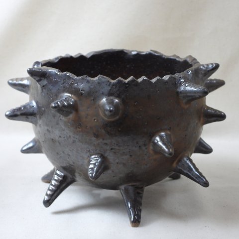 金黒棘陶製植木鉢