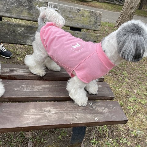 ★犬服★夏服　モスキートストップTシャツ　選べるワッペン　パステルカラー