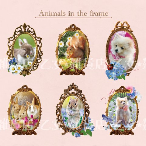 Animals in the frame マスキングテープ