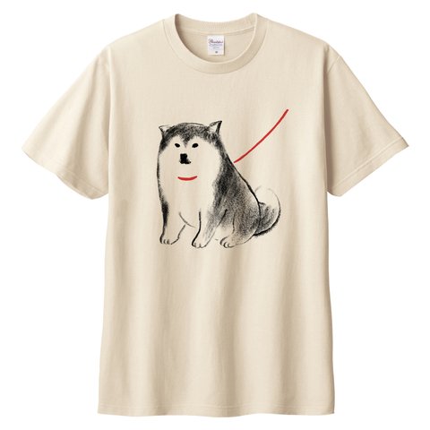 柴犬　 Tシャツ （ナチュラル）犬 XLサイズ