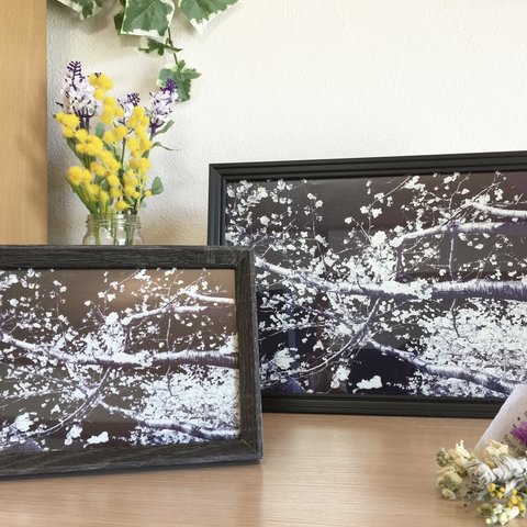 【オーダー品】A4写真フレーム付「心の桜」〜アートをあなたのお部屋に〜