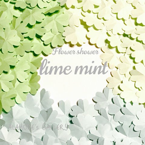 たっぷり200枚！1枚ずつ手折りのFlower shower LIME MINT(グリーン系)