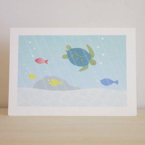  Greeting Card 3枚セット/G7_南国の海の中