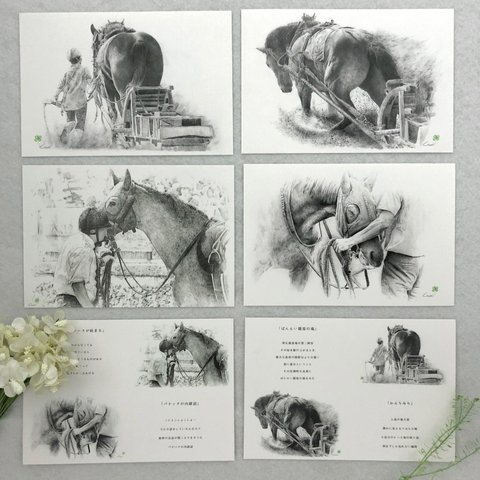 馬の絵 ポストカードA　4枚セット＋絵詞カード