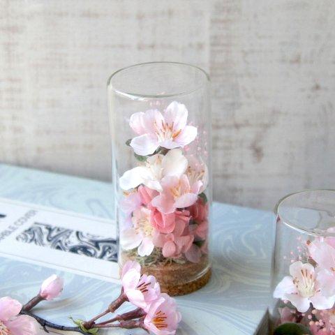 ガラスボトルの中のお花見(桜)