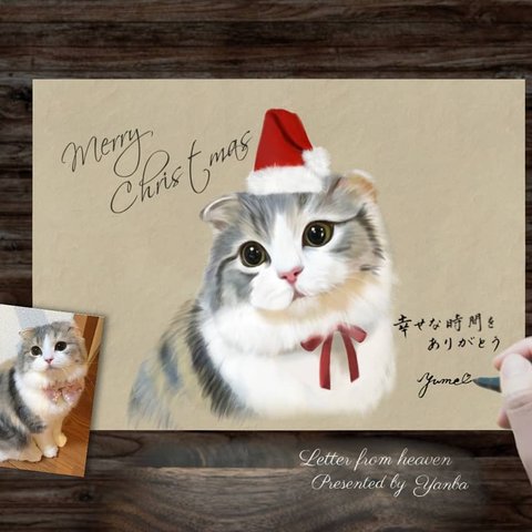 ペットからのクリスマスカード