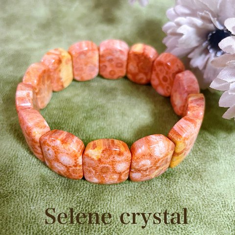 フォッシルコーラル　バングル　珊瑚　おすすめ　人気　　　天然石ブレスレット　Selene crystal  和装　着物