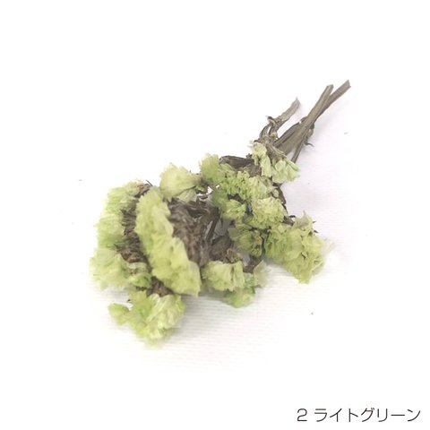 【即納】 スモーキー スターチス 100g ライトグリーン プリザーブドフラワー 花材 小さい花 花 プリザーブド花材 ハンドメイド パーツ アクセサリー 資材 緑