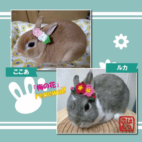 うさぎ用耳飾り🐰「花より団子🍡な桜」と「梅」