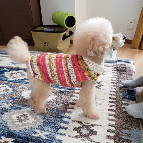 犬の手編み服