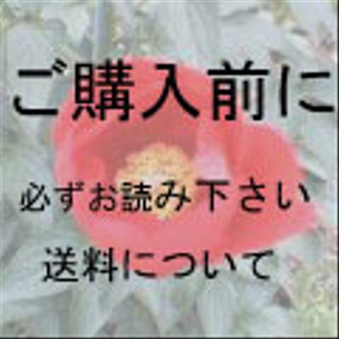 「ご購入の前に」必ずお読み下さい