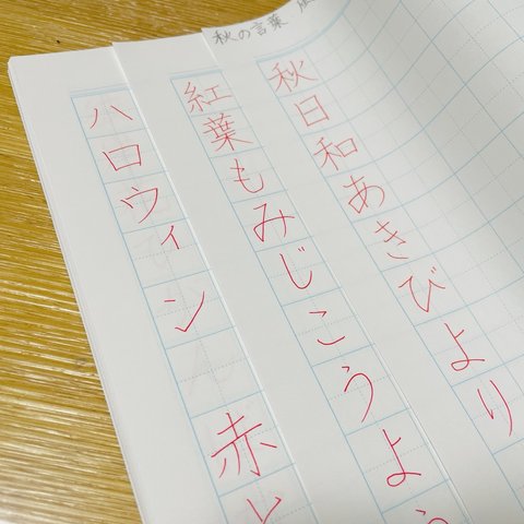 現品限り【秋･冬の言葉･風物詩】硬筆練習帳／ひらがな／漢字／お名前／ご住所