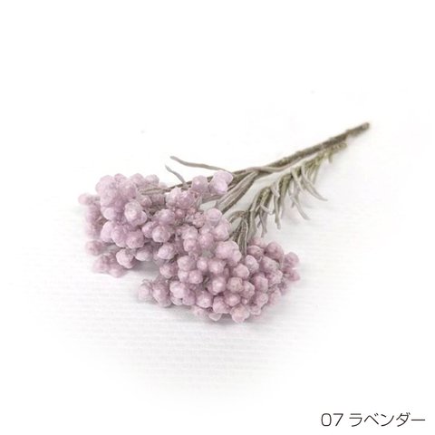 【即納】 ライスフラワー パステルシリーズ 70g ラベンダー プリザーブドフラワー 花材 小さい花 花 プリザーブド花材 ハンドメイド パーツ アクセサリー 資材 紫