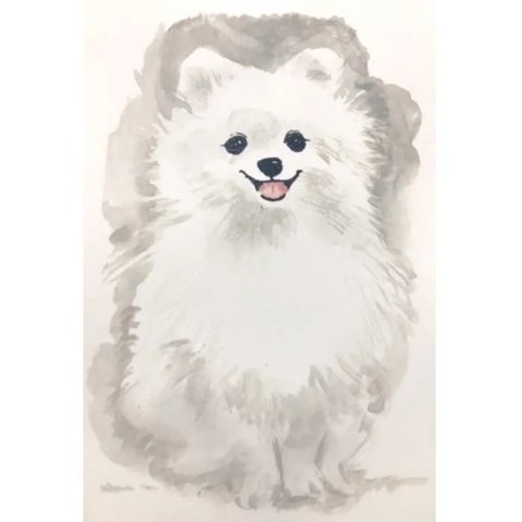 ポメラニアン　犬　ドローイング　水彩画　イラスト　アート　インテリア　動物