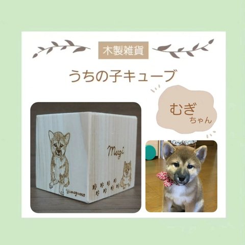 うちの子キューブ　モデル特別セット　🐾むぎ🐾