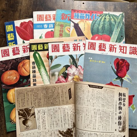 昭和レトロ・園藝新知識・園芸関連の冊子・1冊