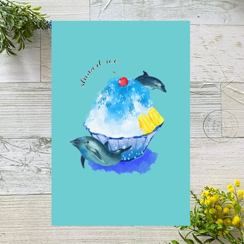 イルカとかき氷　イラストポストカード2枚セット