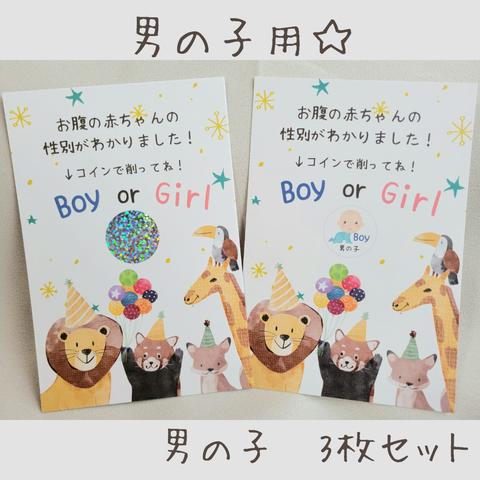 【男の子3枚】ジェンダーリビールカード・性別発表・ご懐妊祝い・ジェンダーリビール