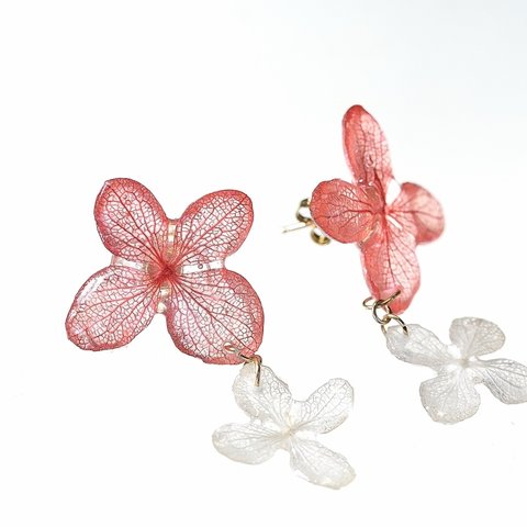 《草木染》葉脈アジサイの花つなぎピアス【蘇芳染め】・14kgf 