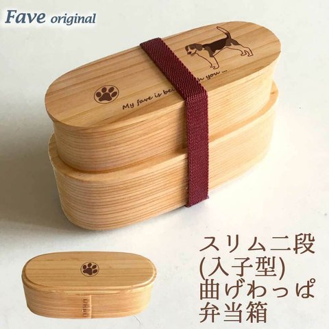 【 ビーグル 】 スリム 入子 型 天然木 曲げわっぱ 弁当箱 二段 わっぱ 木製