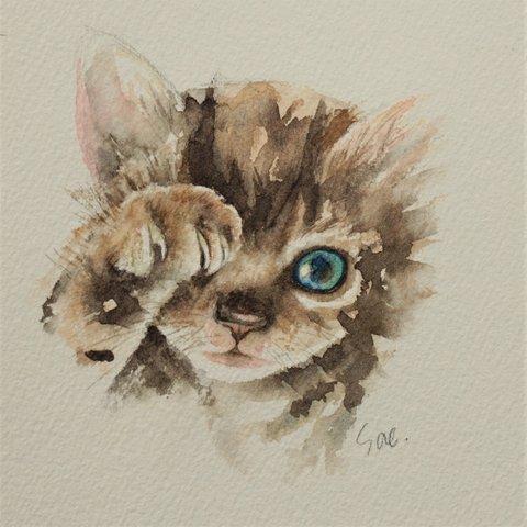 絵画「neko (茶トラ)」