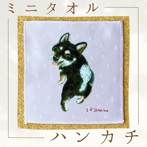 【柴犬・黒柴】ハンカチタオル🌟ラッピング対応🌟プレゼントにも♪