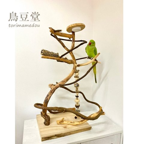 【展示用】自然木（ツタ）のぐるぐるバードアスレチック　バードジム　鳥　インコ　おもちゃ　とまり木