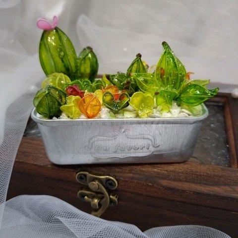 ディップフラワー 多肉植物 サボテン 寄植え