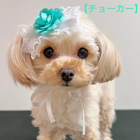 【犬用】お花のリボン　犬リボン　犬チョーカー　犬ヘッドドレス　エメラルドグリーン　犬アクセサリー